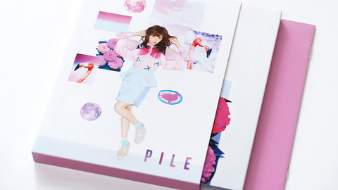 Pile 2ndアルバム「PILE」