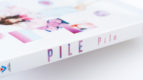 Pile 2ndアルバム「PILE」